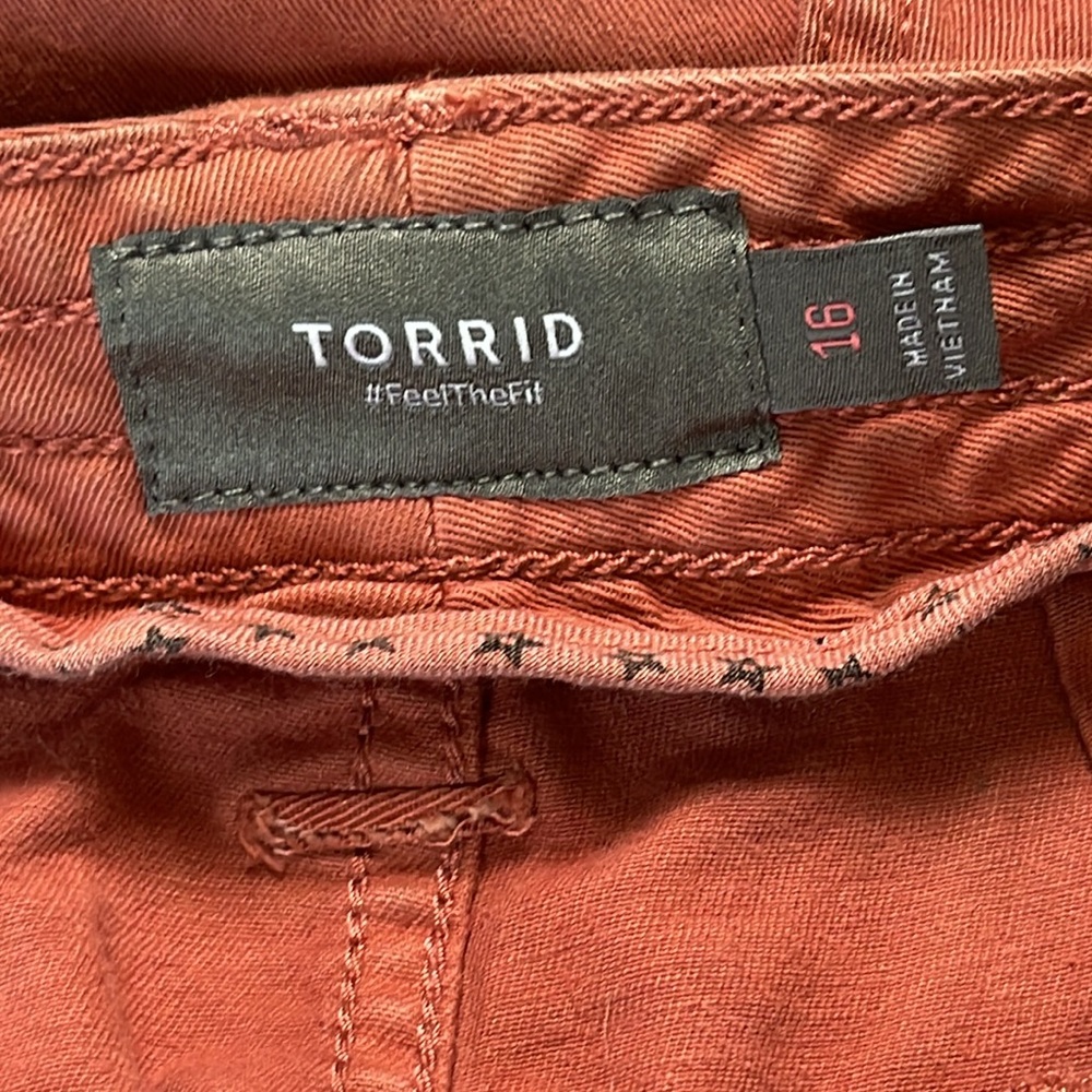 Torrid Shorts - Picture 15 of 15
